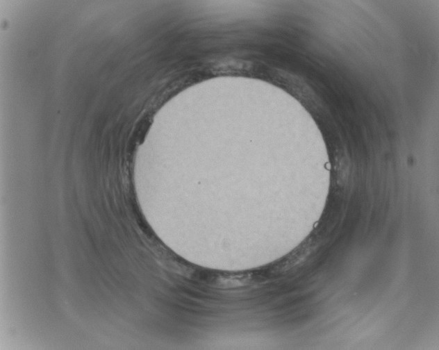 X0000075890753200610151751