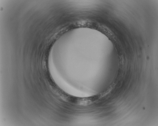 X0000075890754200610151751