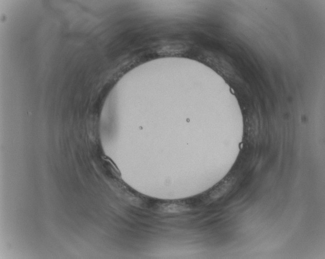 X0000075890755200610151751