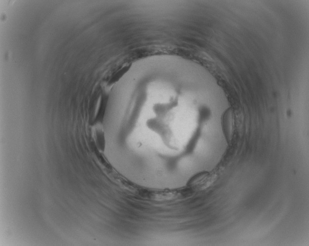 X0000075890757200610151751