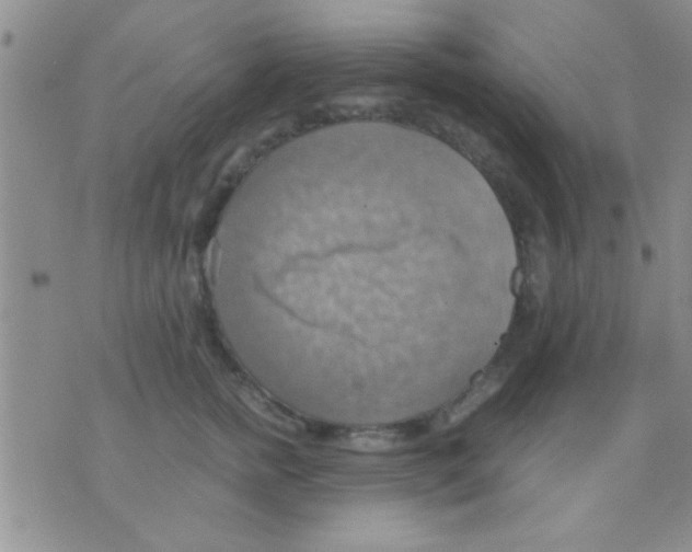 X0000075890758200610151751