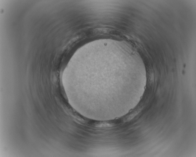 X0000075890759200610151751