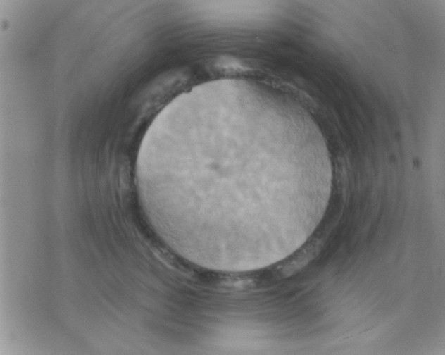 X0000075890760200610151751