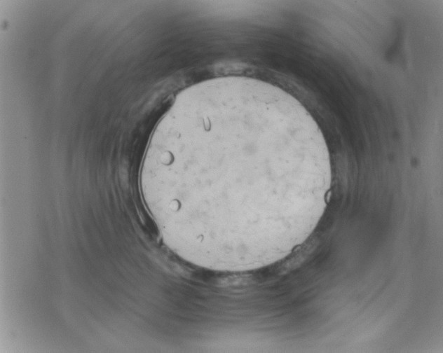 X0000075890761200610151751