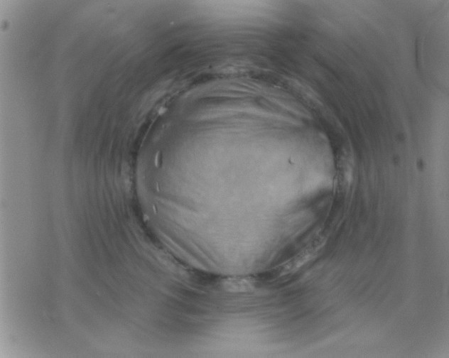 X0000075890762200610151751