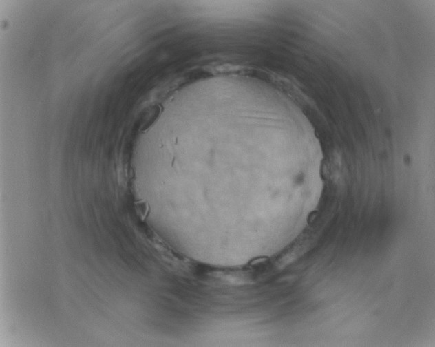 X0000075890763200610151751