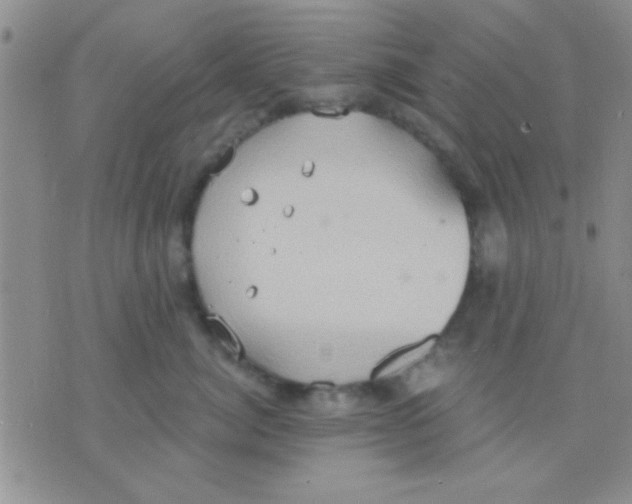 X0000075890764200610151751