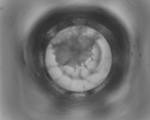 X0000075890765200610151751