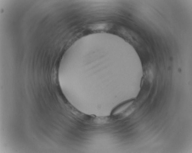 X0000075890767200610151751