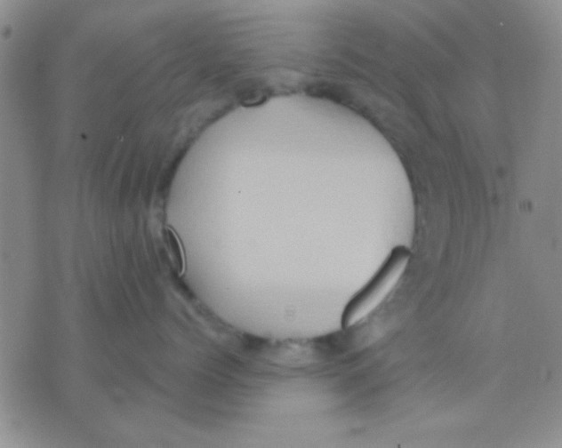 X0000075890768200610151751