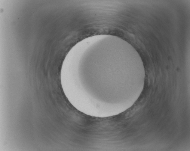 X0000075890769200610151750