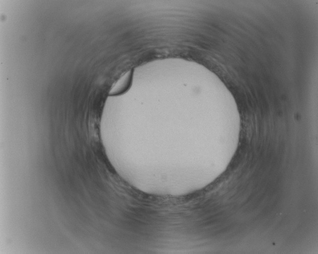 X0000075890770200610151750