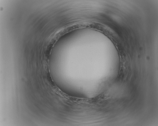 X0000075890773200610151750