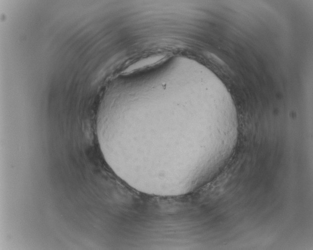 X0000075890774200610151750