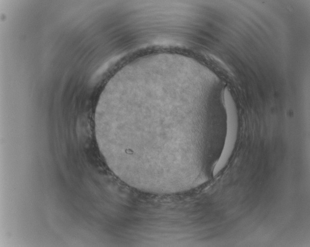 X0000075890776200610151750