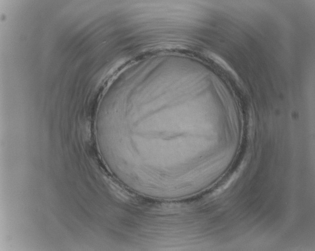 X0000075890777200610151750