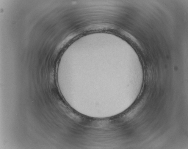 X0000075890778200610151750