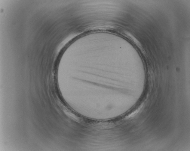 X0000075890779200610151750