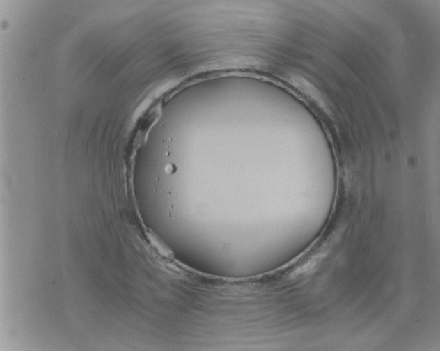 X0000075890781200610151750