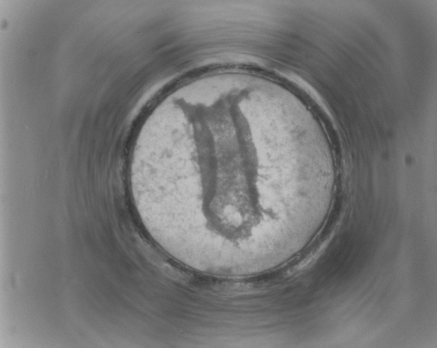 X0000075890783200610151750