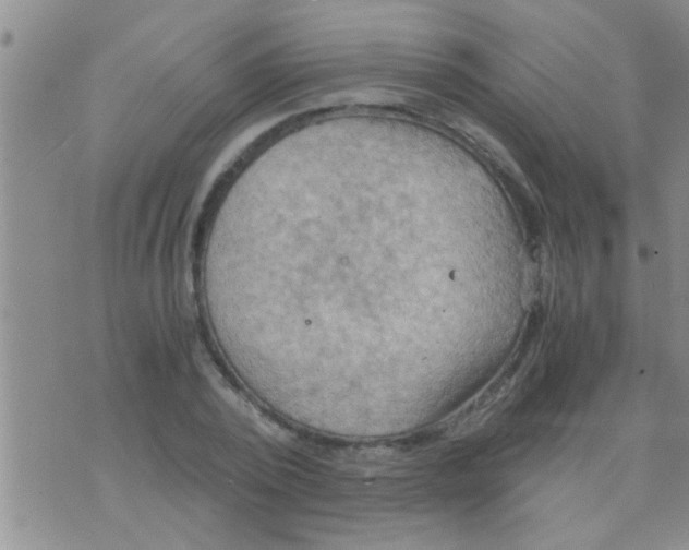 X0000075890784200610151750