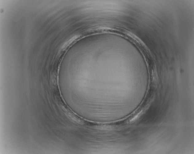 X0000075890785200610151750