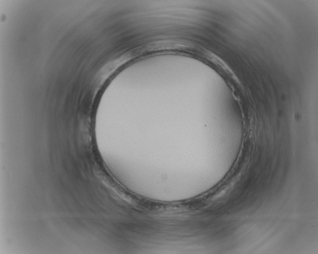 X0000075890786200610151750