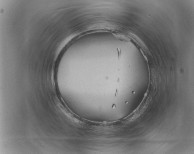 X0000075890788200610151750