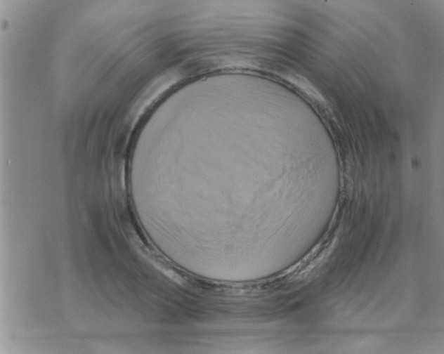 X0000075890790200610151750