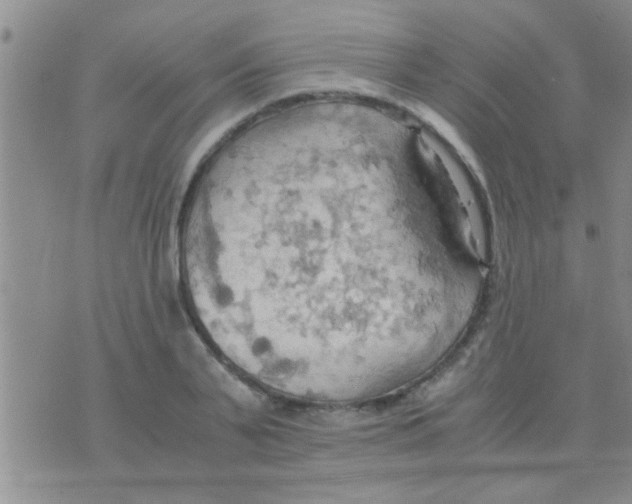 X0000075890791200610151750