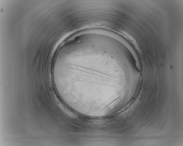 X0000075890792200610151750