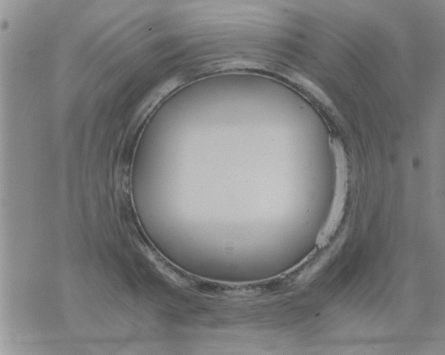 X0000075890793200610151750