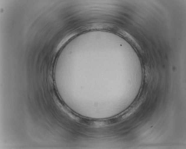 X0000075890794200610151750