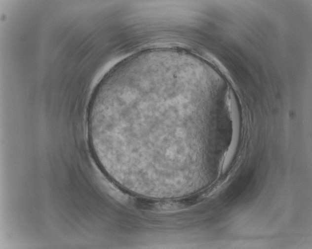 X0000075890795200610151750