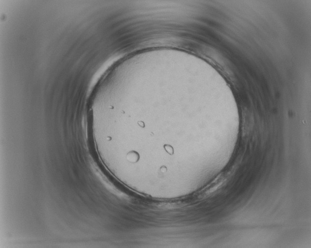 X0000075890796200610151750