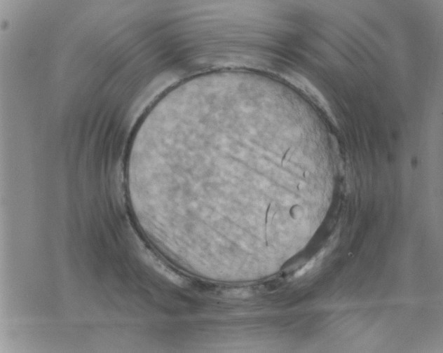 X0000075890798200610151750