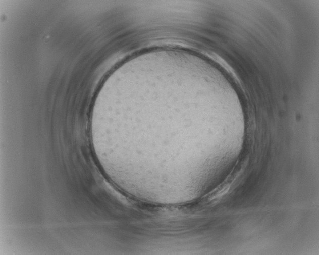 X0000075890799200610151750