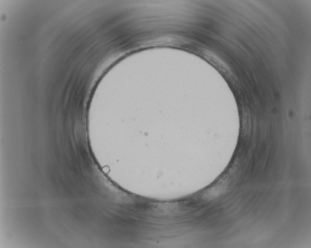 X0000075890800200610151750