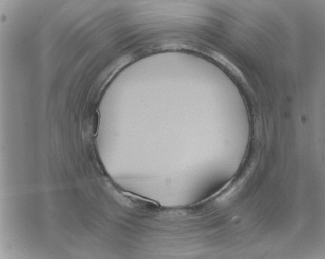 X0000075890801200610151750