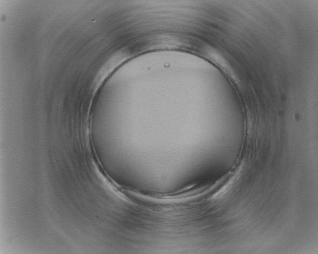 X0000075890802200610151750