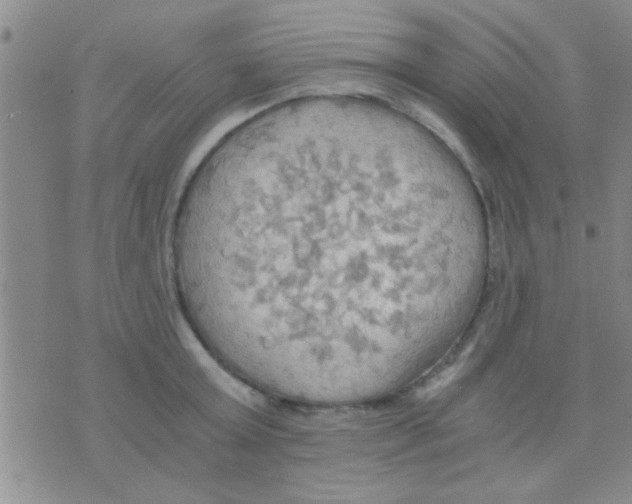 X0000075890803200610151750