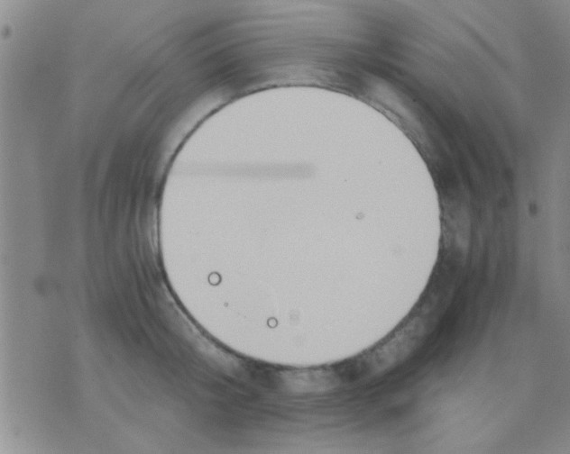 X0000075890804200610151750