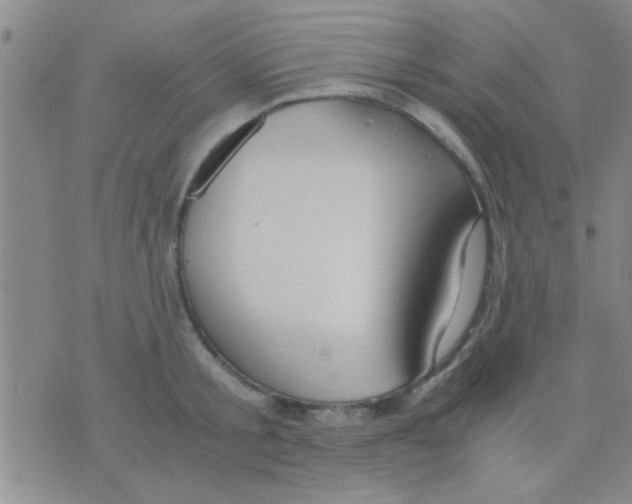 X0000075890805200610151750