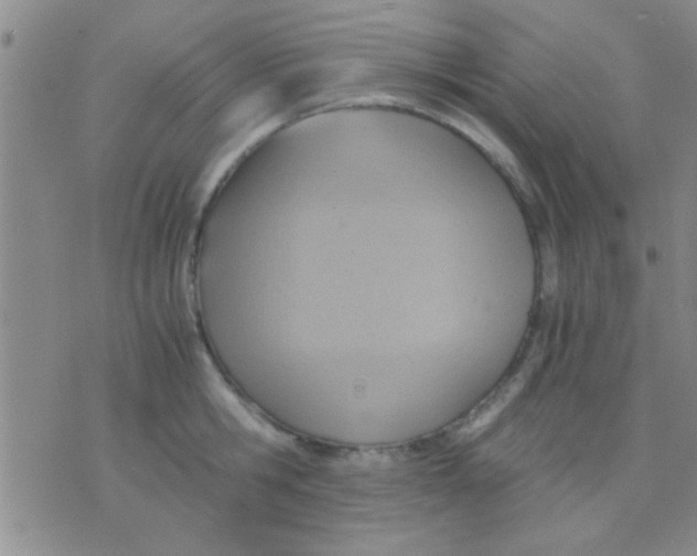 X0000075890806200610151750