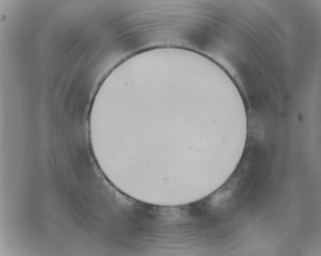 X0000075890807200610151750