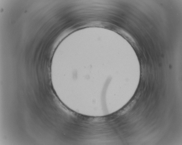 X0000075890808200610151750