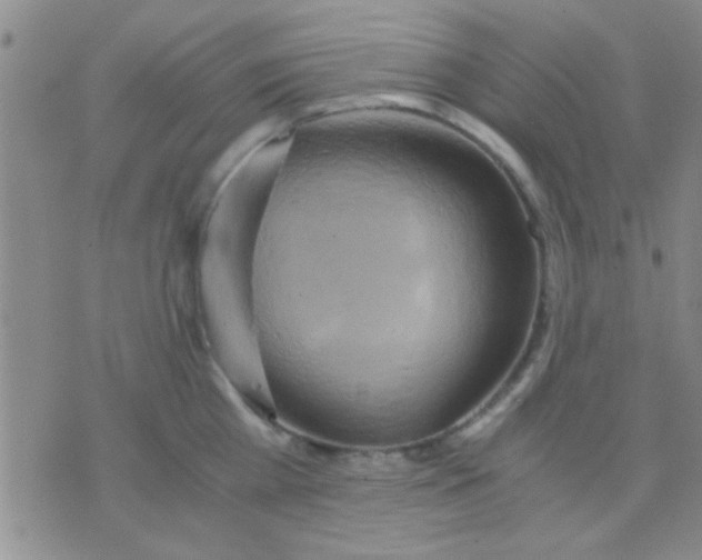 X0000075890809200610151750