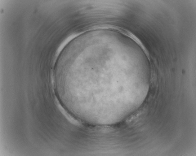 X0000075890811200610151750