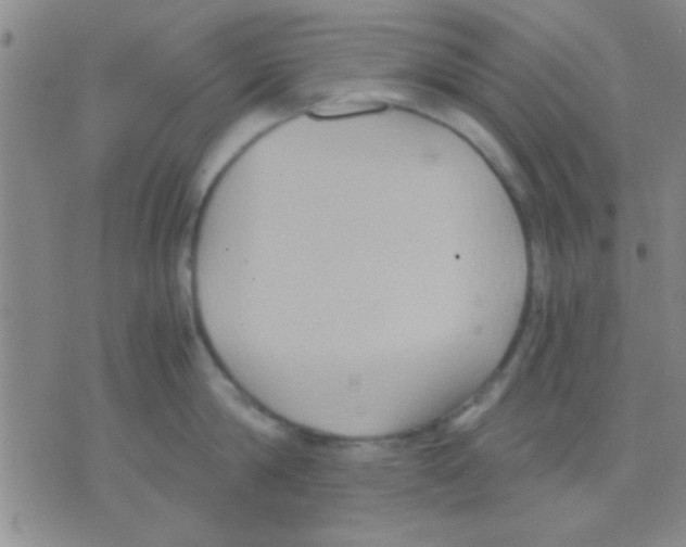 X0000075890814200610151749