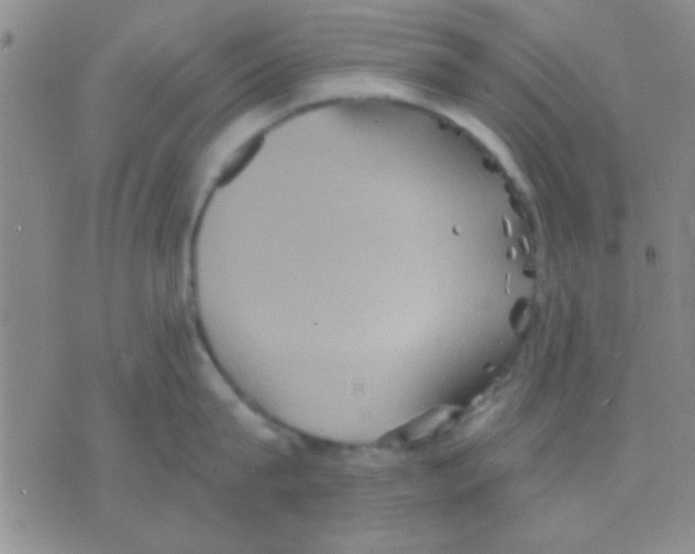 X0000075890815200610151749